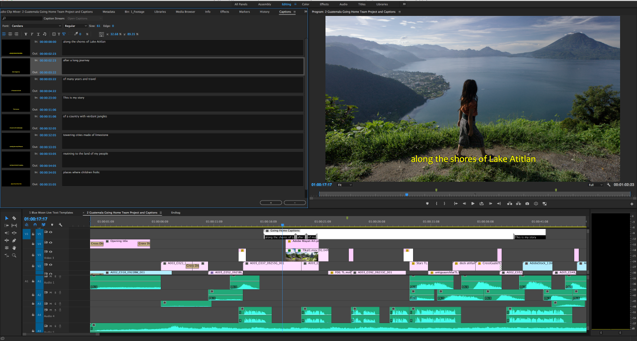 Premiere Pro キャプションの更新